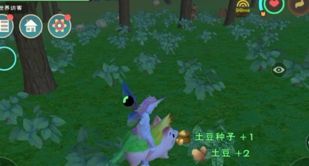 创造与魔法土豆哪里多