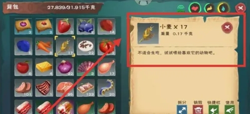 创造与魔法吃什么可以加速