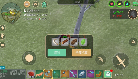 创造与魔法树叶哪里好刷