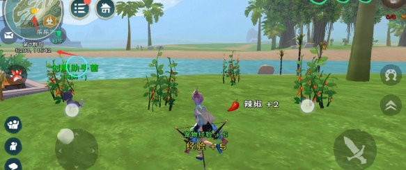 创造与魔法哪里辣椒多