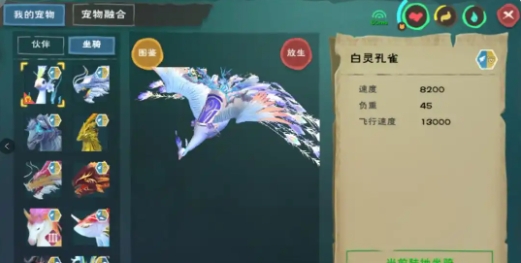 创造与魔法白灵孔雀怎么抓取