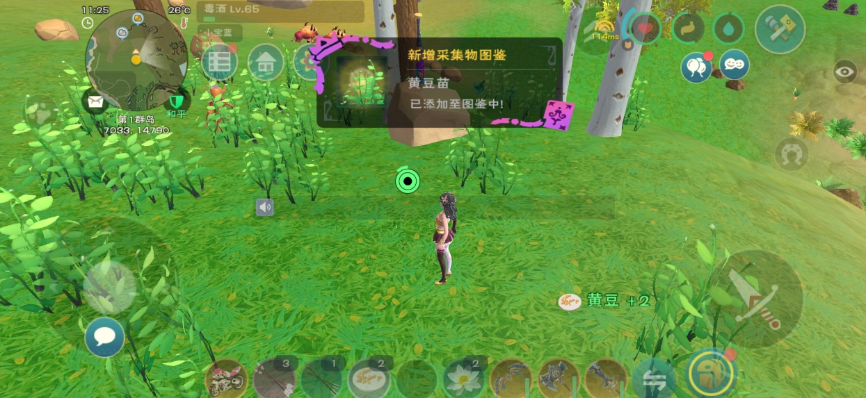 创造与魔法种子怎么杂交