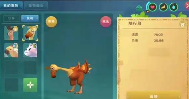 创造与魔法陆行鸟羽毛有什么用