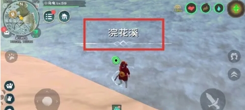 创造与魔法河豚在哪钓