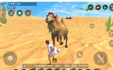 创造与魔法骆驼在哪里