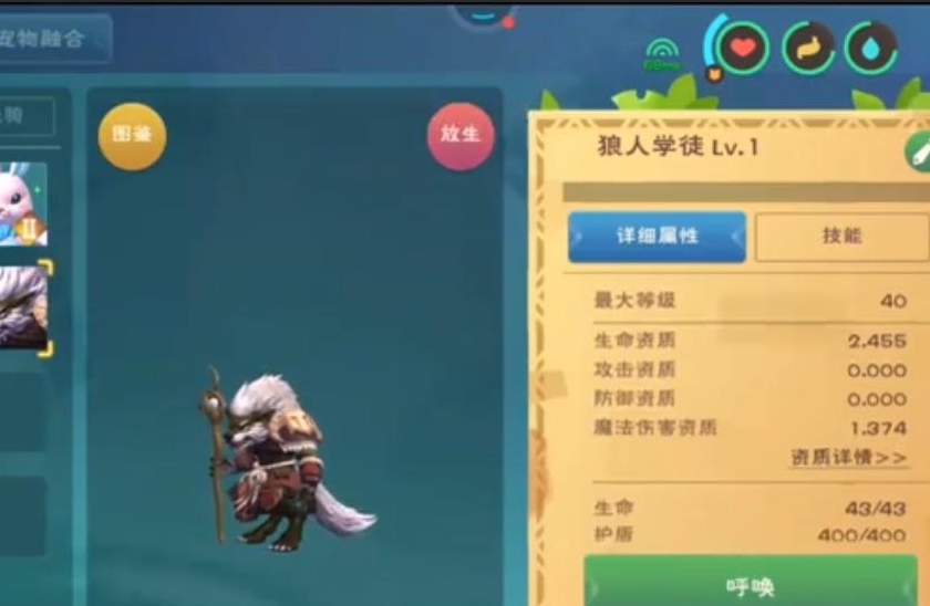 创造与魔法宠物资质怎么算 创造与魔法宠物资质怎么算