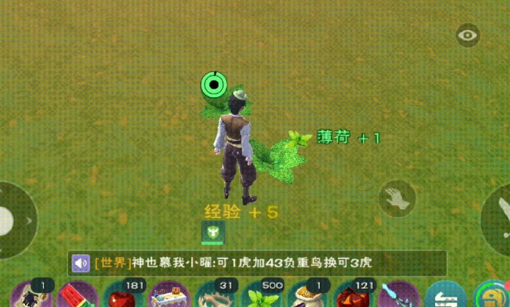创造与魔法薄荷位置在哪儿
