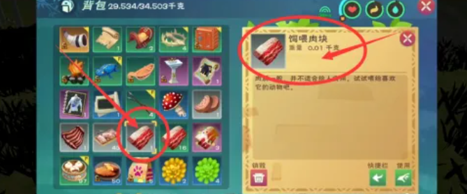 创造与魔法饲喂肉块怎么做