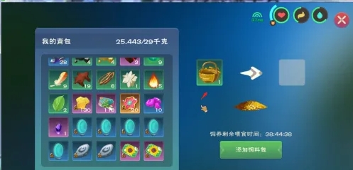 创造与魔法篮子有啥用