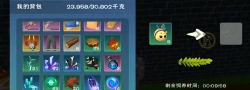 创造与魔法蜂蜜有什么用