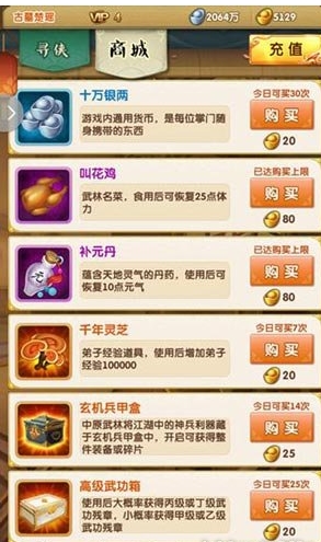 大掌门2一般元宝买什么