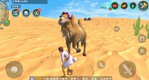 创造与魔法骆驼吃什么饲料怎么做