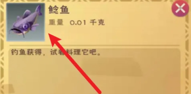 创造与魔法鲶鱼有什么用