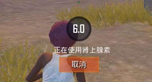 绝地求生中肾上腺素有什么用