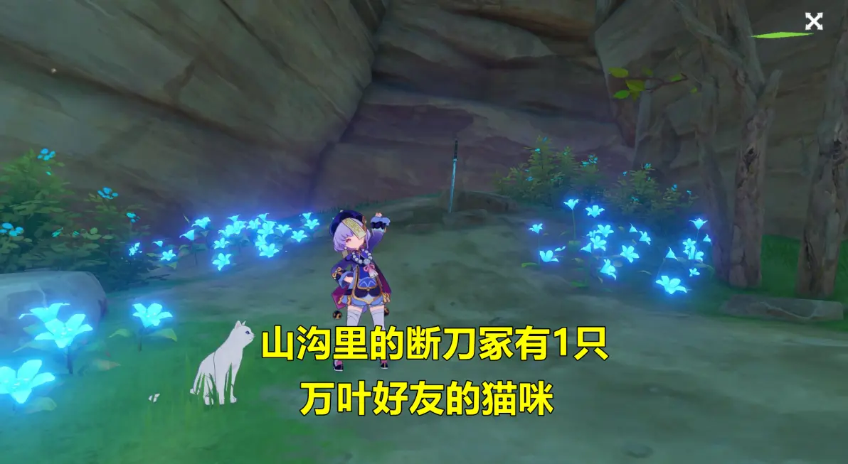 原神断刀冢白猫怎么抓