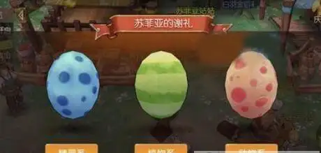 风之大陆苏菲亚的谢礼怎么选