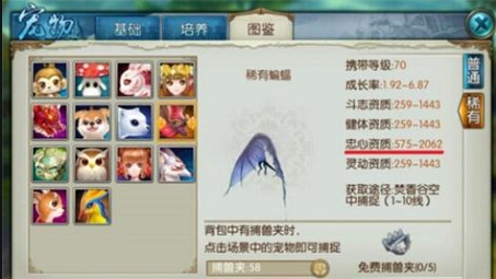 诛仙手游主忠心辅灵动用什么技能 诛仙手游主忠心辅灵动用什么技能