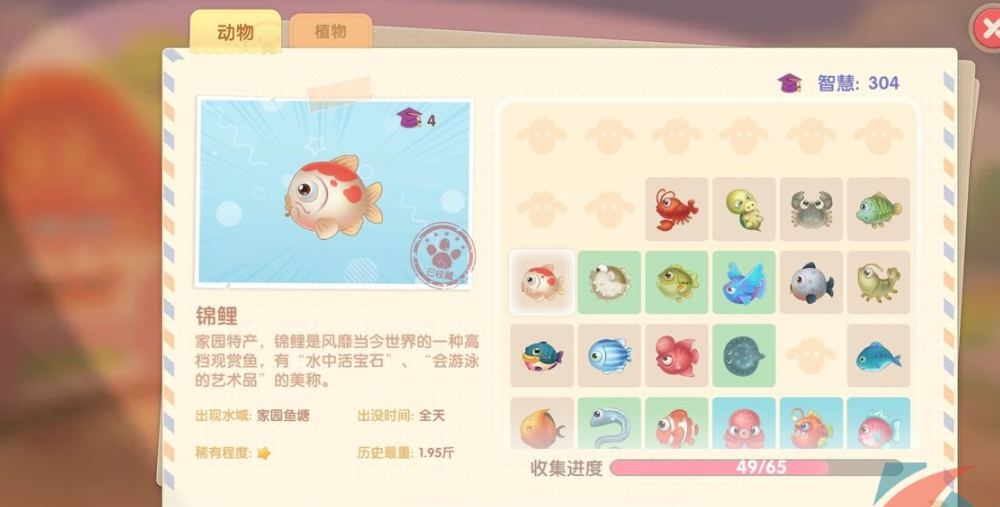 摩尔庄园小镇锦鲤怎么钓