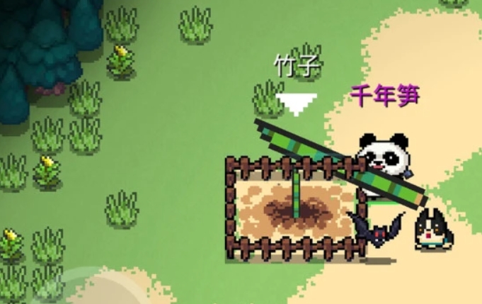 元气骑士千年竹笋怎么得 元气骑士千年竹笋怎么得