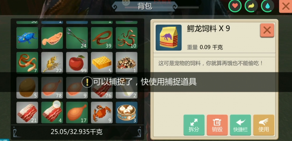 创造与魔法上古鳄龙饲料如何获取
