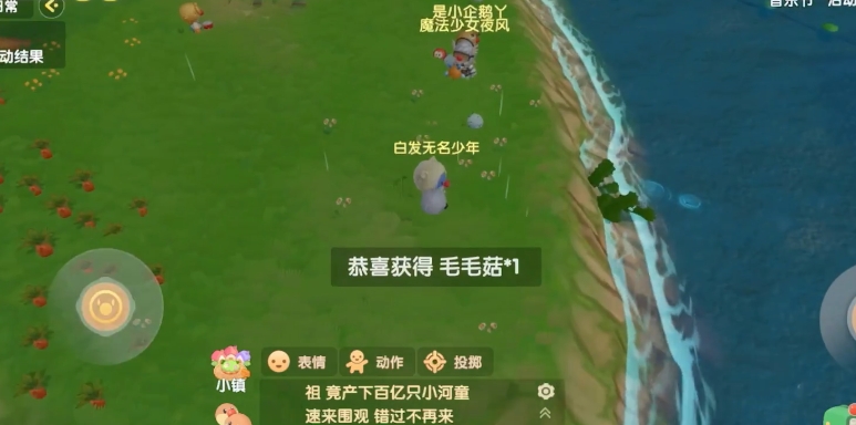 摩尔庄园中毛毛菇炒蛋怎么做