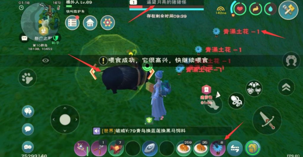 创造与魔法猪怎么驯服