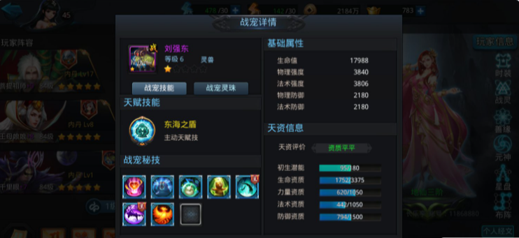 乱斗西游战宠用什么技能好