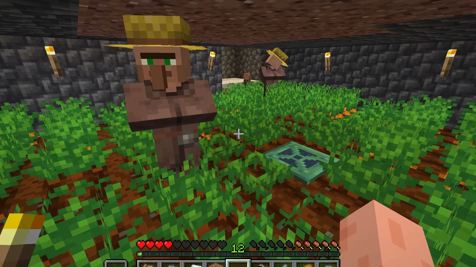 我的世界如何扩建村庄