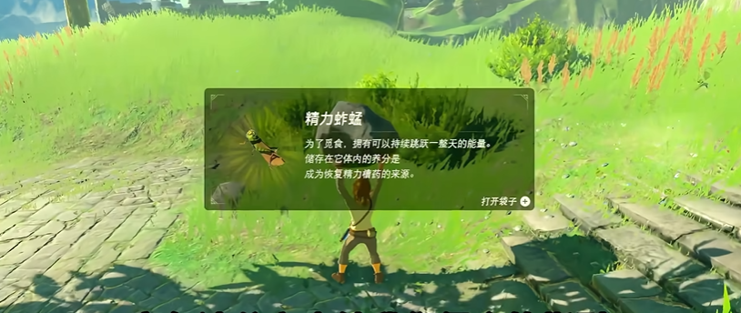 塞尔达传说荒野之息怎么玩