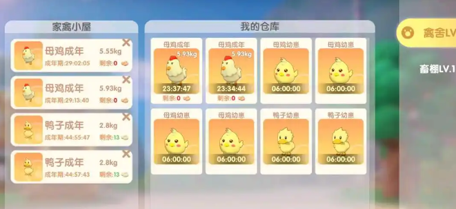 摩尔庄园鸭妈妈怎么孵