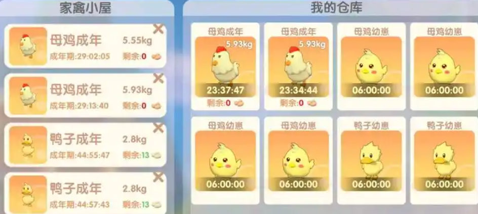 摩尔庄园为什么小鸡不产蛋