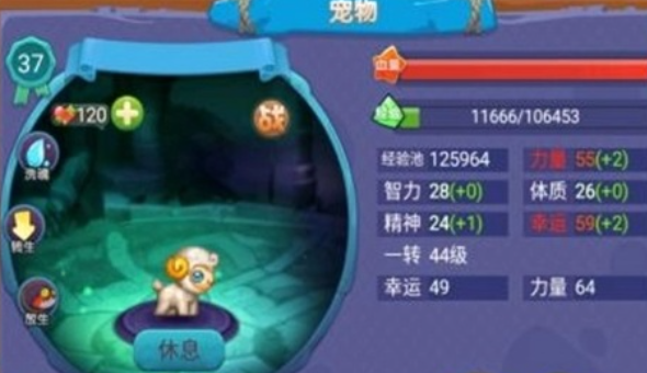 魔力世纪宠物有什么作用