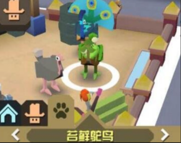 疯狂动物园什么宠物最挣钱