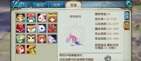 诛仙手游九十级宠物鸟在哪里