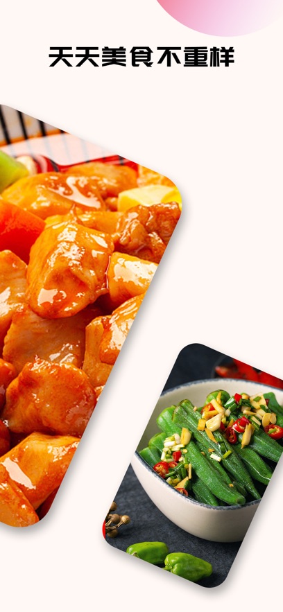天天美食菜谱做法大全截图2