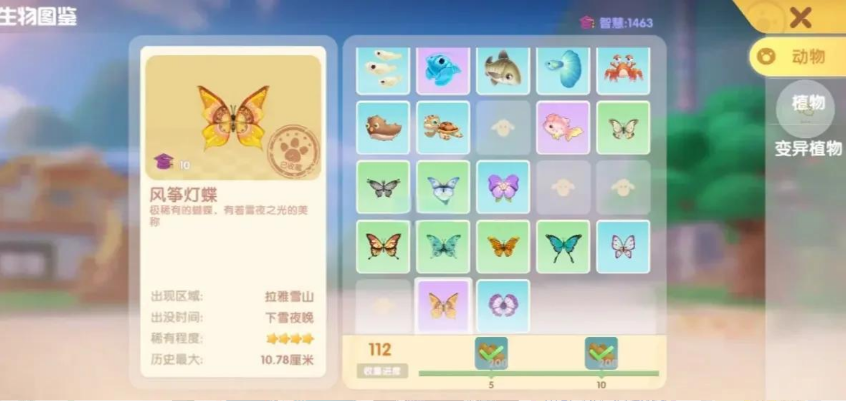 摩尔庄园黑暗森林怎么抓蝴蝶