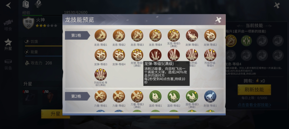 冰原守卫者火龙怎么加点 冰原守卫者火龙怎么加点
