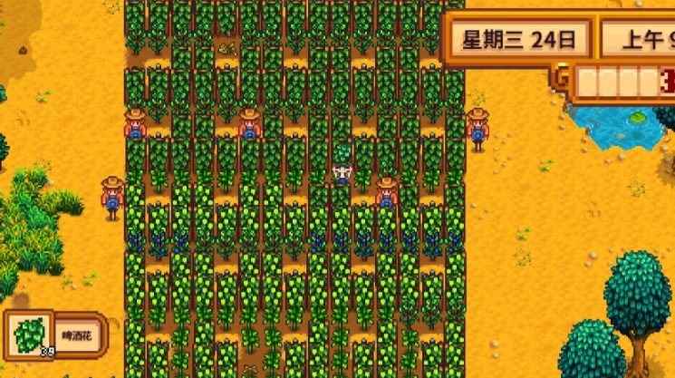 星露谷物语夏天该种什么