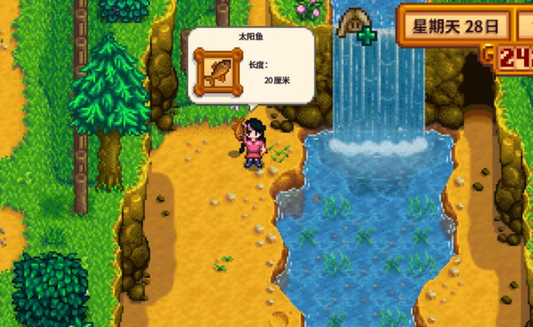 星露谷物语太阳鱼哪里钓