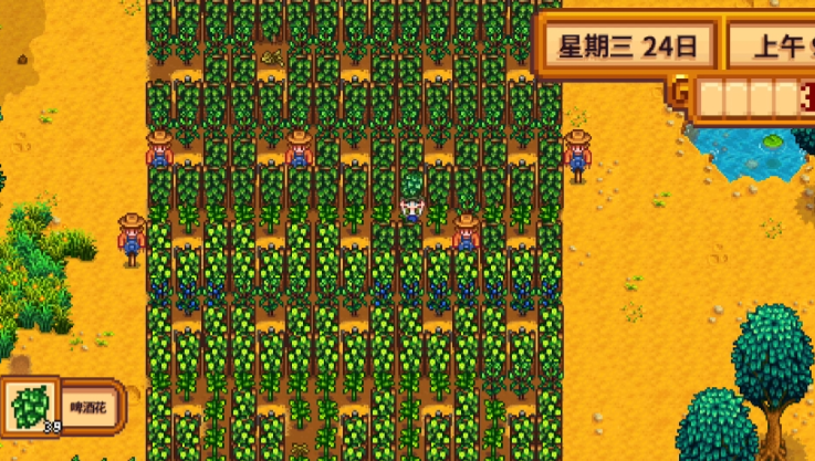 星露谷物语酿酒流夏天种什么