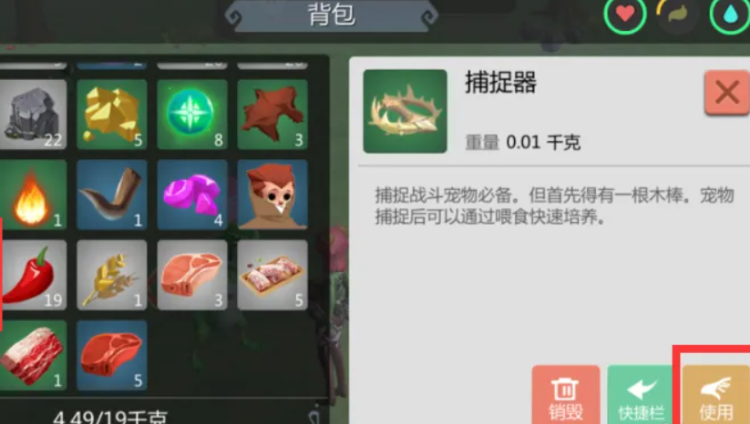 创造与魔法绿蜥蜴怎么抓