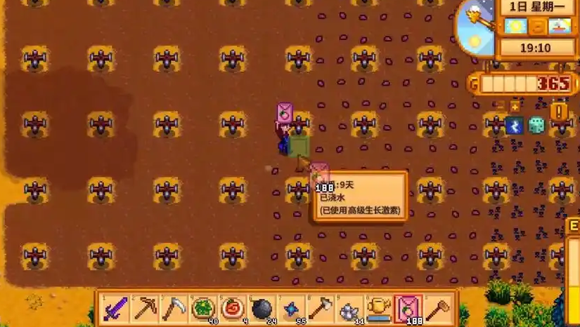 星露谷物语夏季作物怎么选