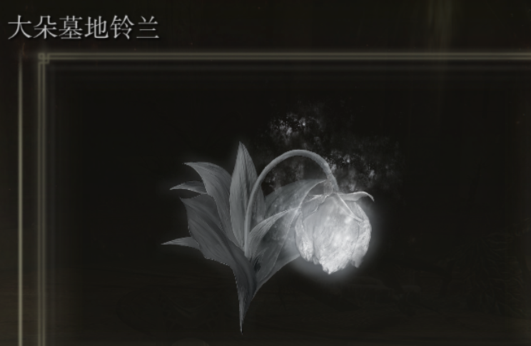 艾尔登法环后期怎么玩