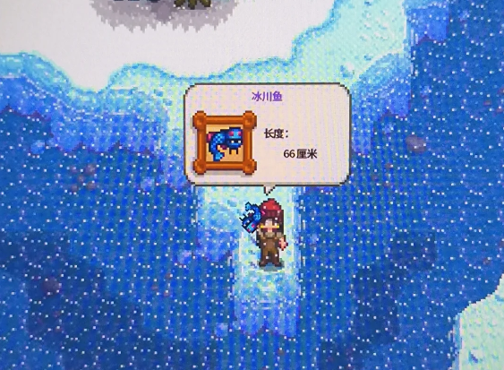 星露谷物语冬季鱼有哪些