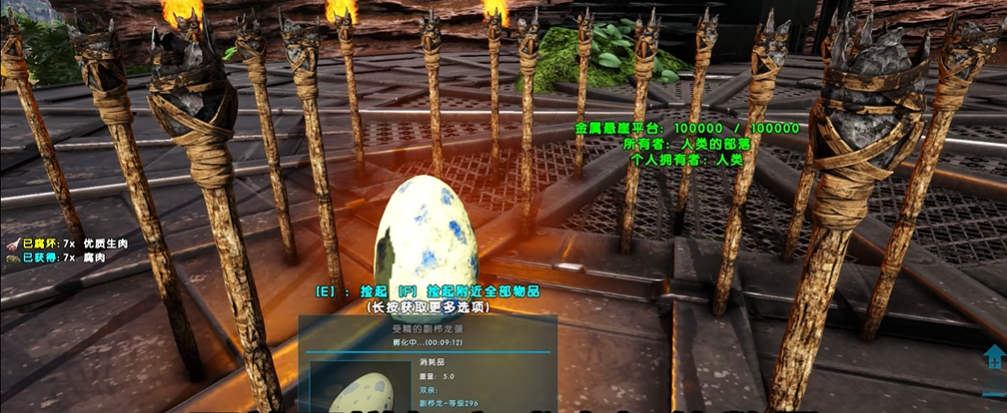 方舟生存进化中如何孵化龙蛋