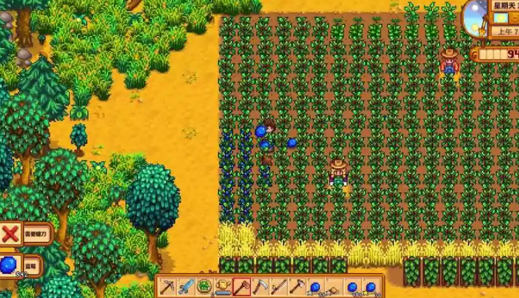 星露谷物语夏季怎么赚钱