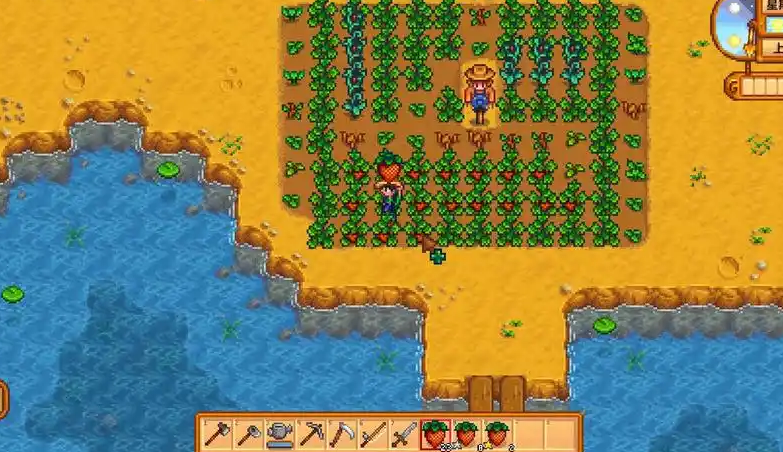 星露谷物语第一年春天干什么