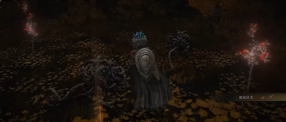 艾尔登法环魔力对蝎怎么获得