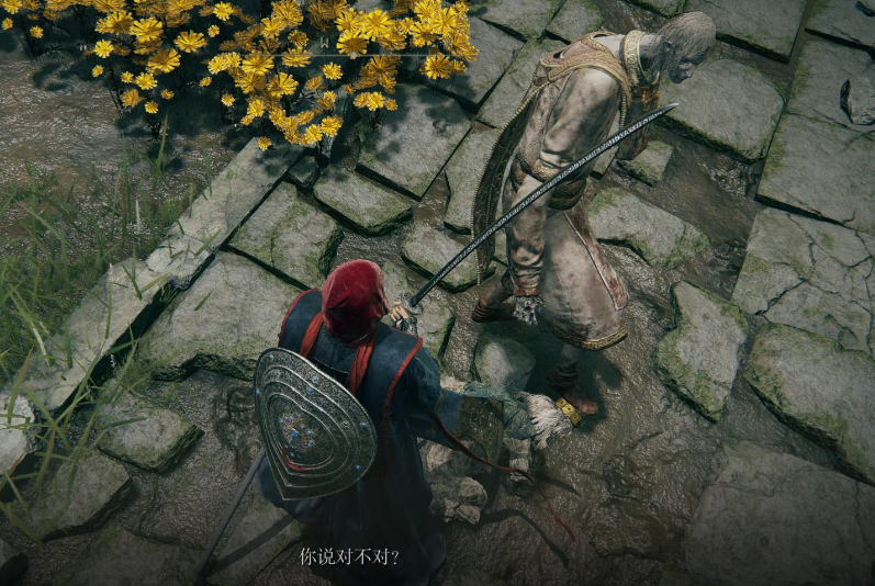 艾尔登法环葛托克主线怎么过