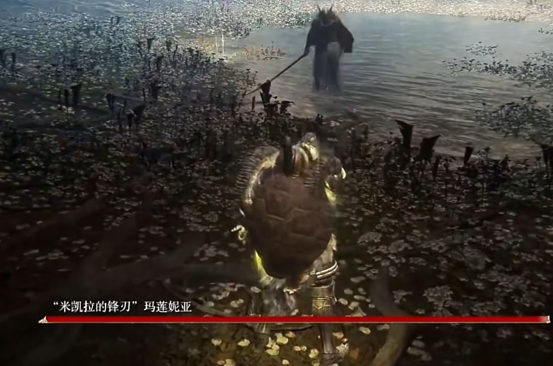艾尔登法环单人玩什么职业